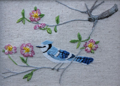 Pink Dogwood and Bluejay pic