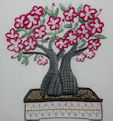 Desert Rose Bonsai pic