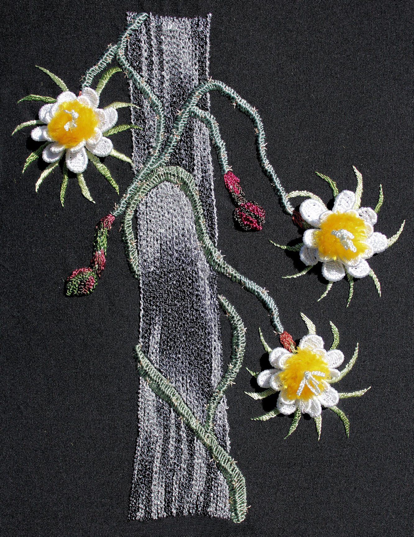 Dragon Fruit Cactus Flowers pic