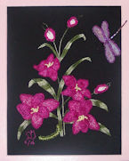 Asian Lace Lily