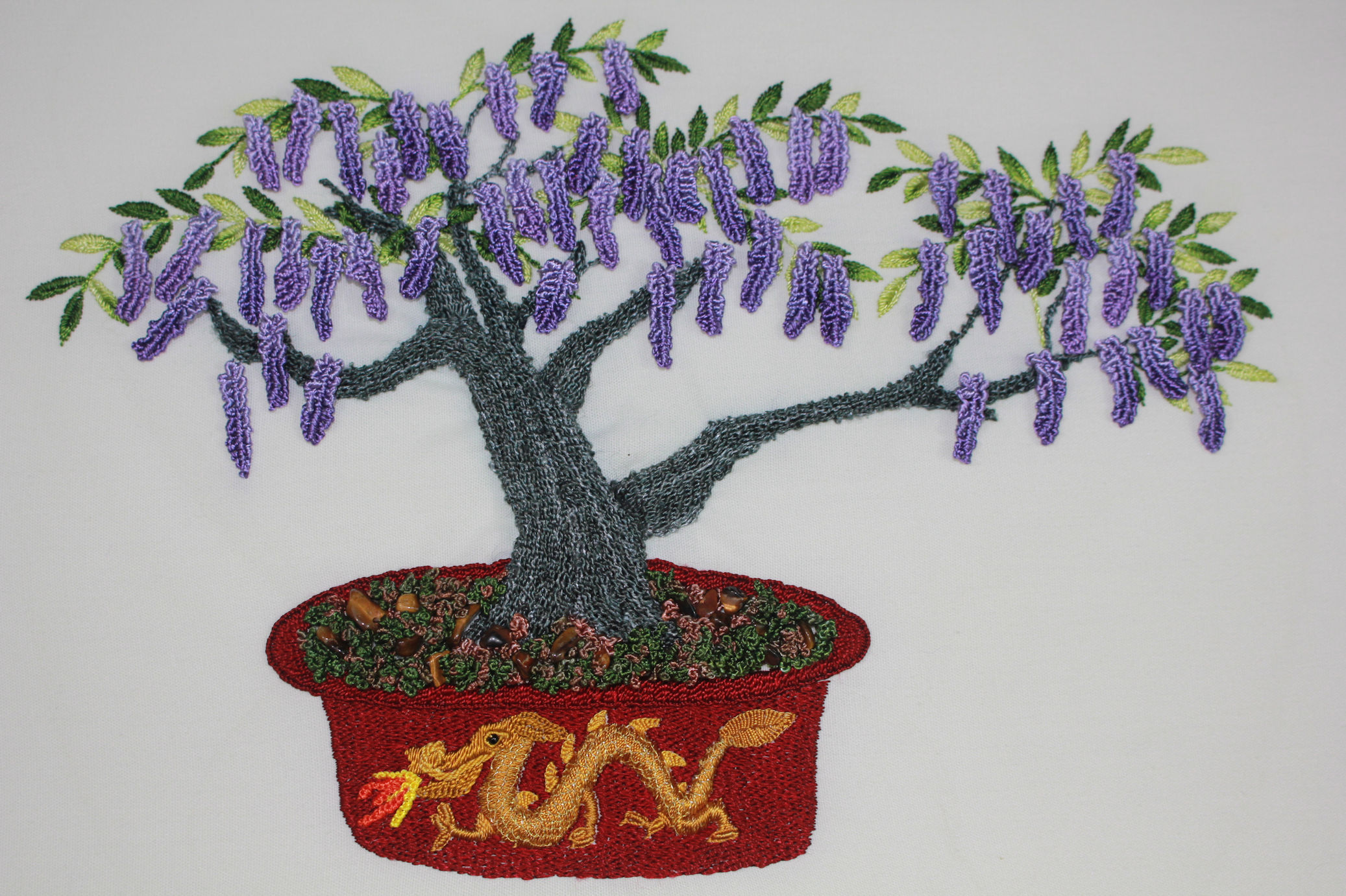 Wisteria Bonsai pic