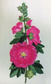 Dk Hollyhock