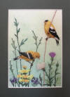 Goldfinches