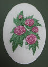 Begonias