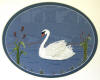 Swan a Swimming