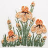 Iris Patch
