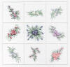Edmar Spring Sampler